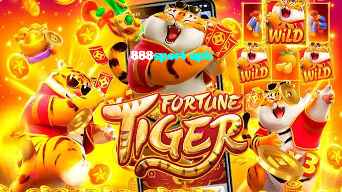 ریئل ٹائم کرکٹ آڈز اور محفوظ لائیو ڈیلر انٹرٹینمنٹ پاکستان